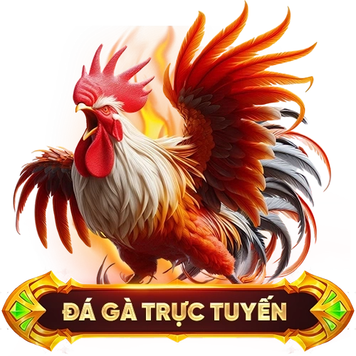đá gà trực tuyến 555WIN